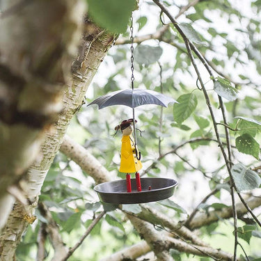 bain pour oiseaux de jardin pas chere